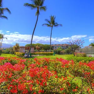 Maui Vista 2220 Apartment